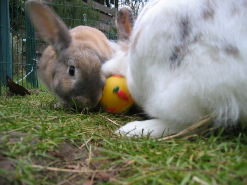 KatrijnBallPossession