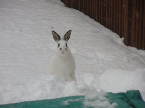 19548_245110726217_535831217_3811740_2294938_n