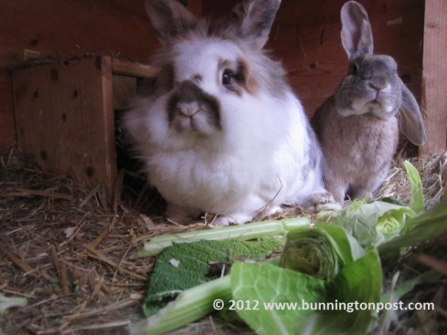 Christmas brekkers was a pooh-pooh affair