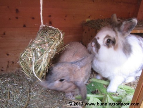 The Christmas wreath finally gets delivered, no thanks to Amazon
