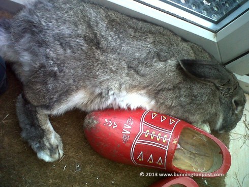 PrecisionMeasurements