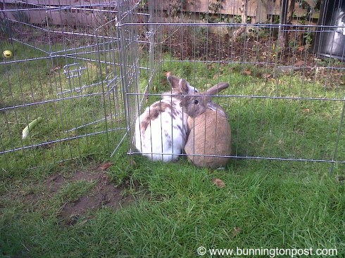 WaitressApproaching1