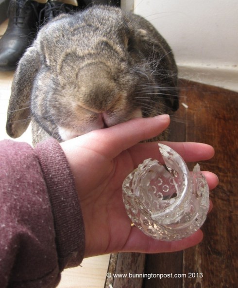 ???????????????????????????????