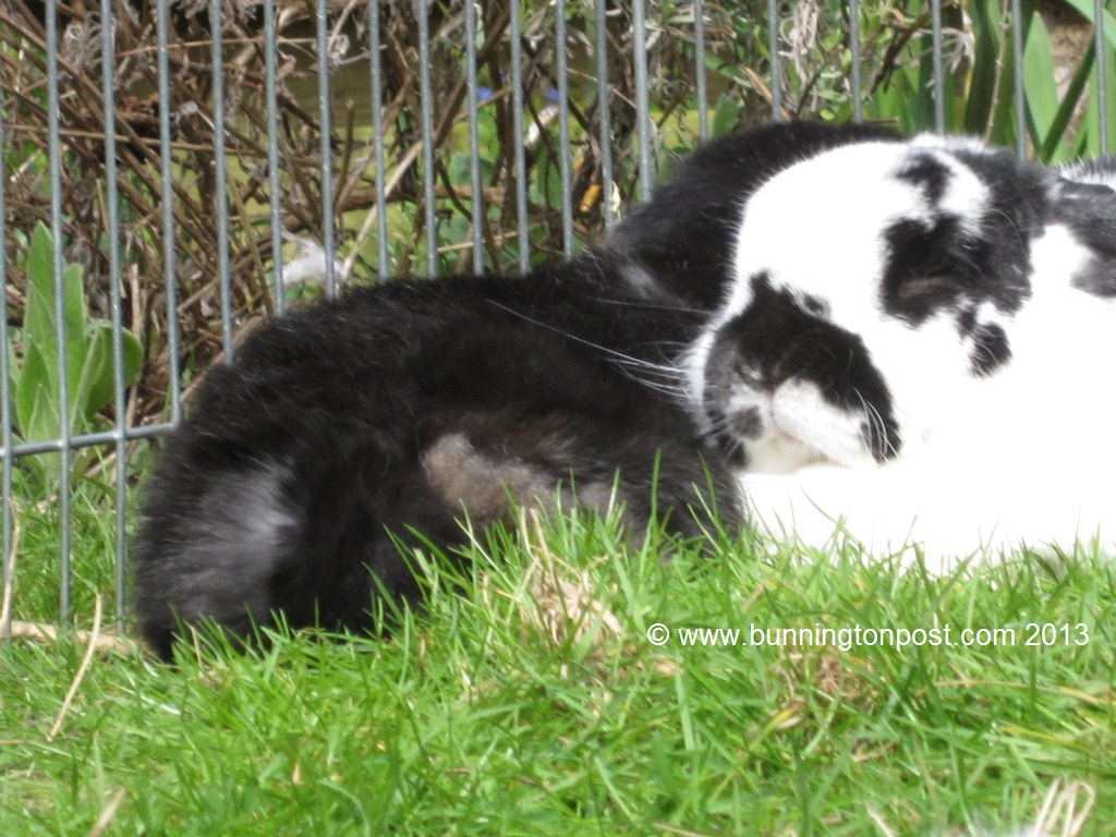 ???????????????????????????????