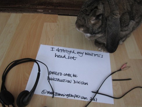 BAFFLED Bunstruction