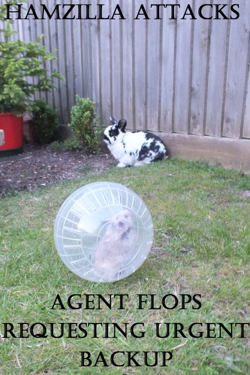 Hamzilla