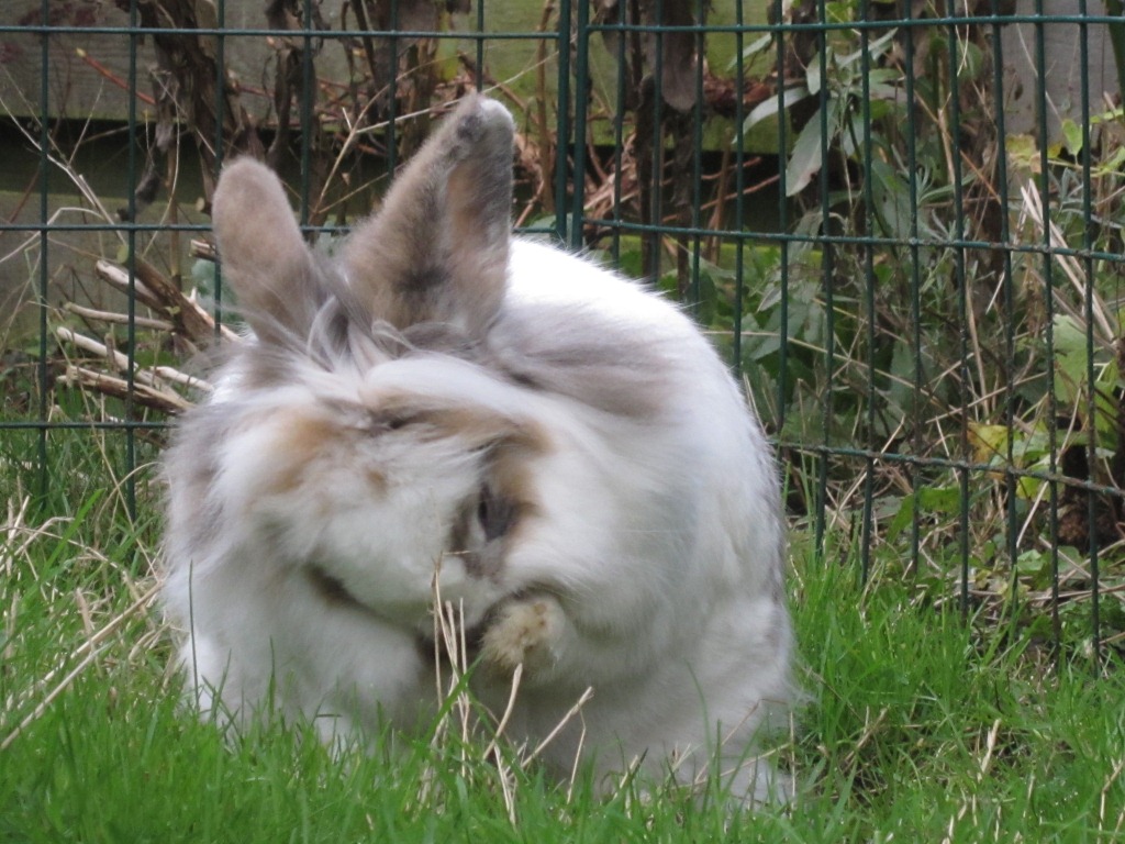 ???????????????????????????????