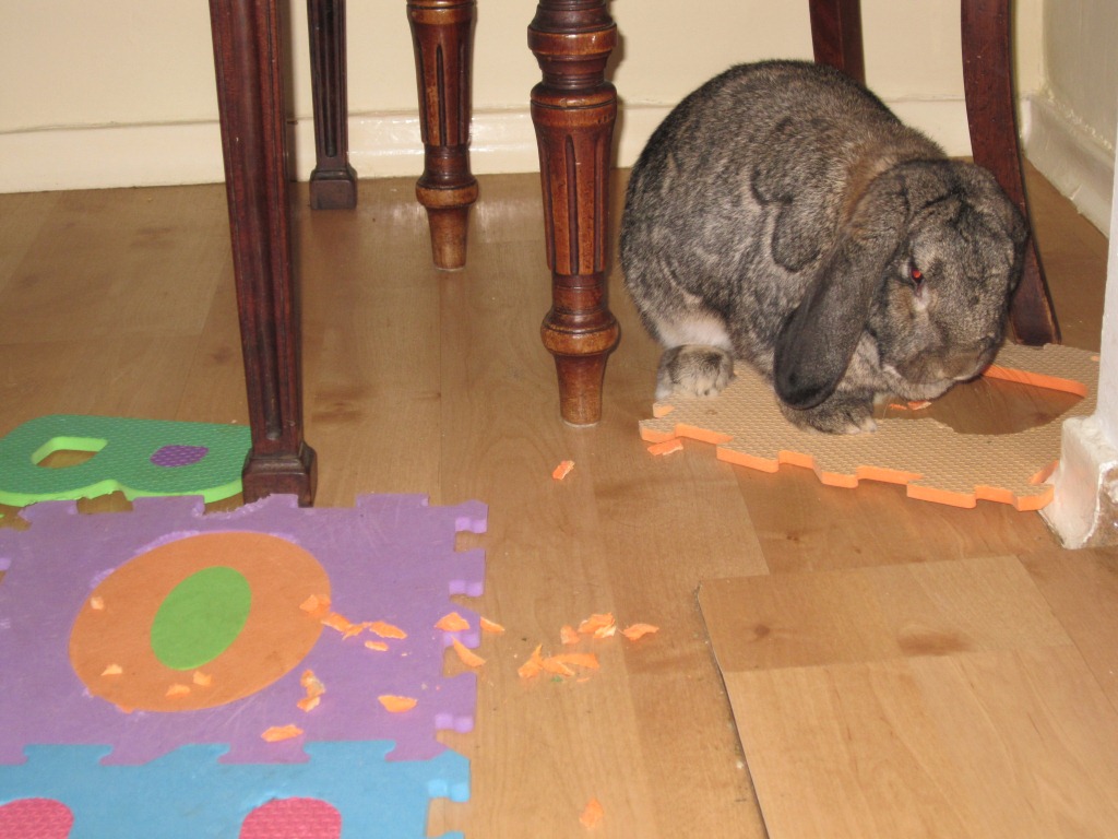 ???????????????????????????????