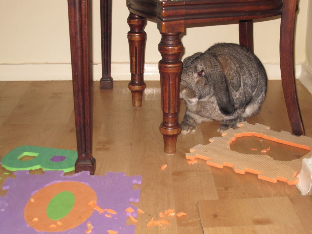 ???????????????????????????????