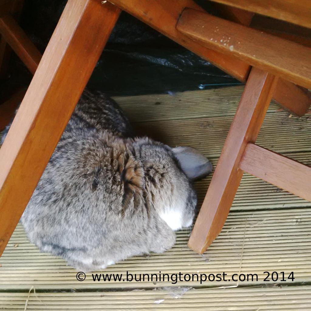 Bouffe under the table
