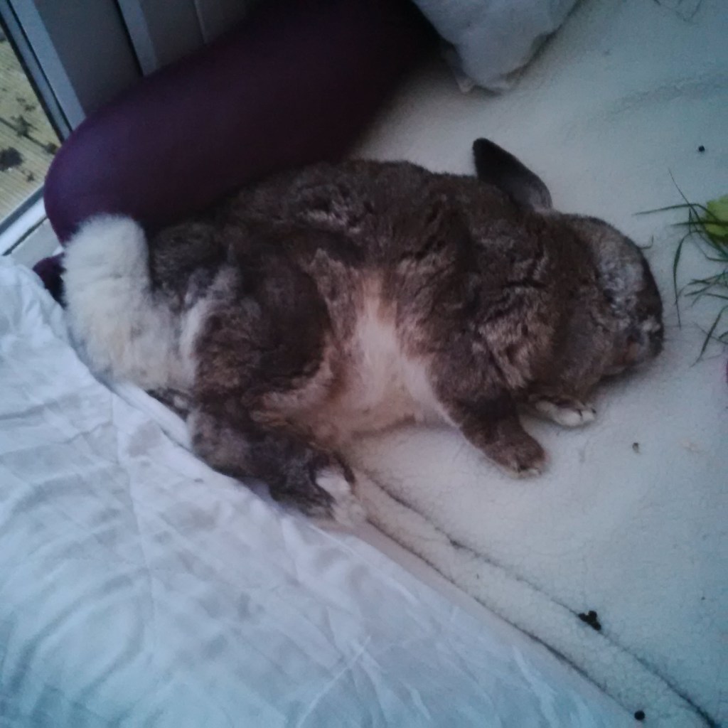 In April I practised my judo rolls. Like Putin.