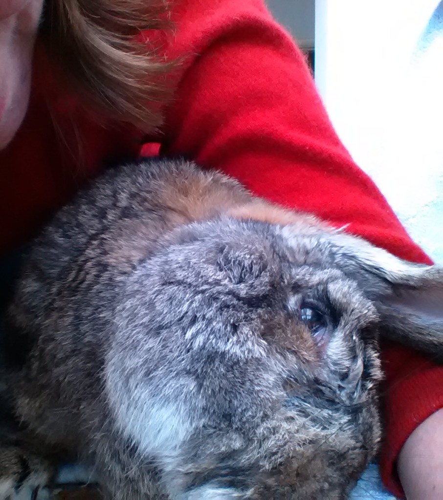 In April I invented the selfie. Unlike Putin.