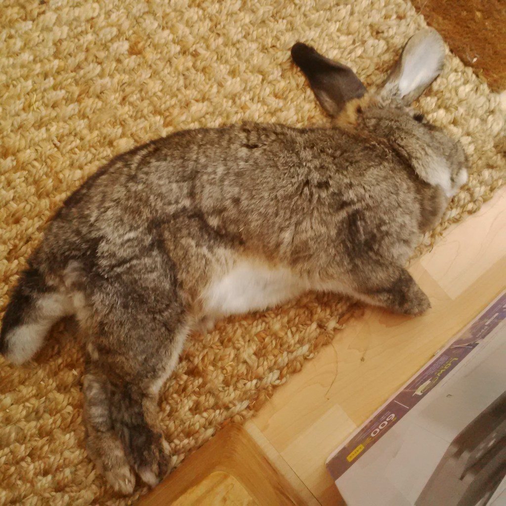 In May I perfected the banana pose without Putin.