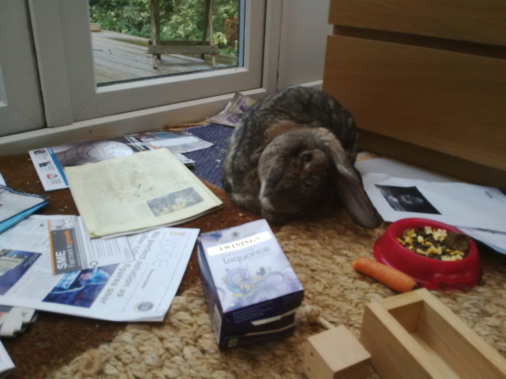 In October I made a mess, just like Putin.