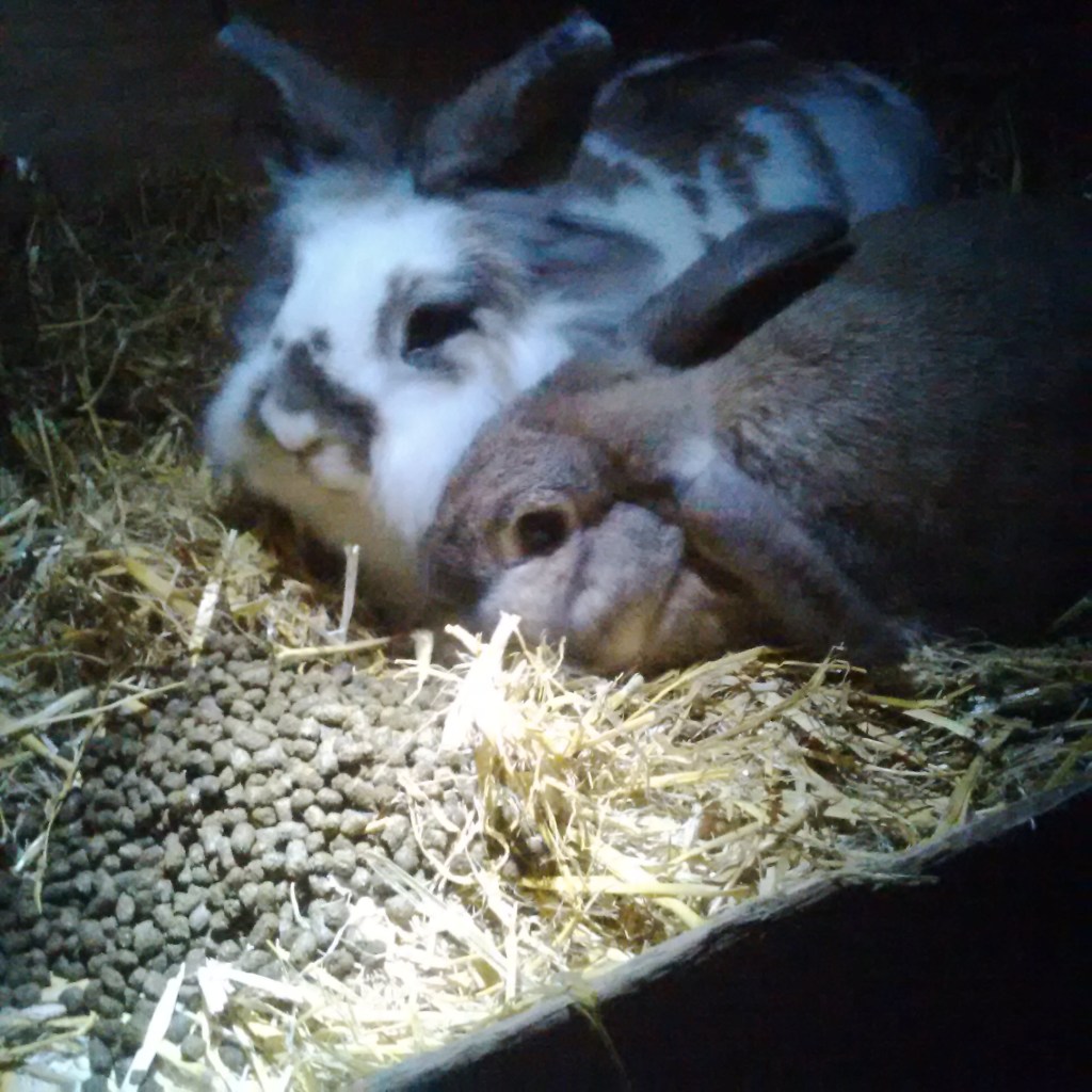 In February we enjoyed romantic meals in.