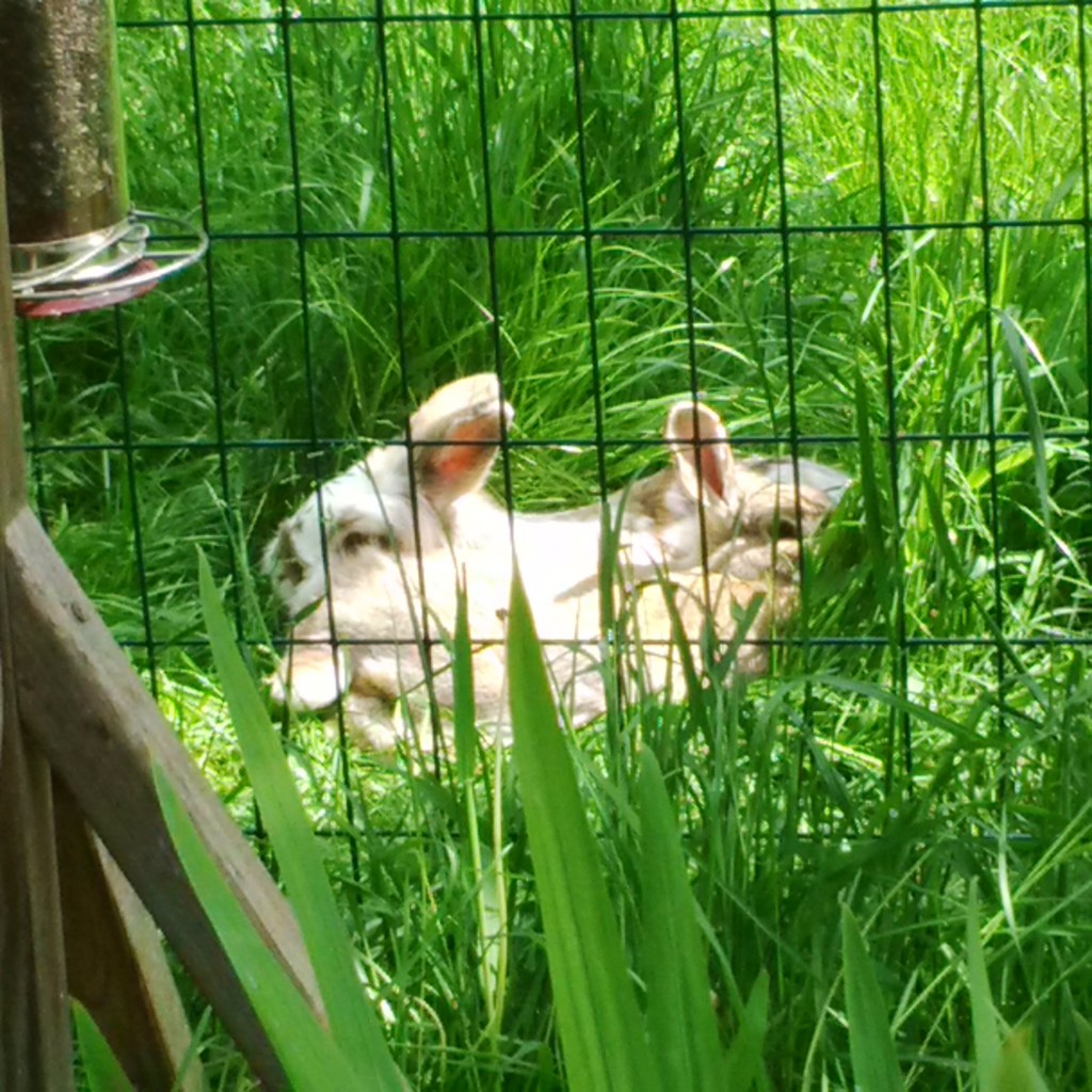 In June we hid from the paps and Putin's heavies.