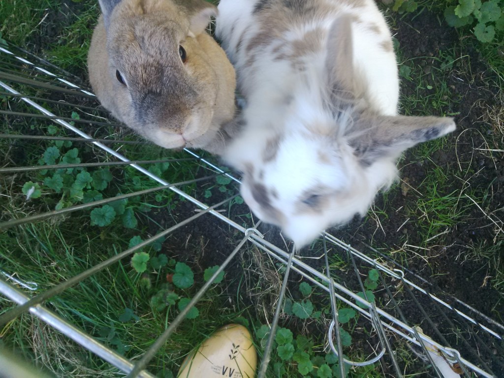 In November we went out into the cold, and didn't like it. We're not like Putin.