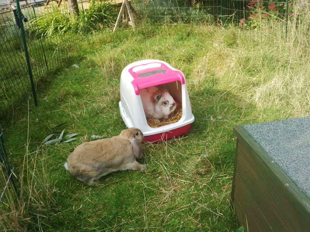 In September we trialled a new prison for Putin's heavies, instead played in the garden with it.