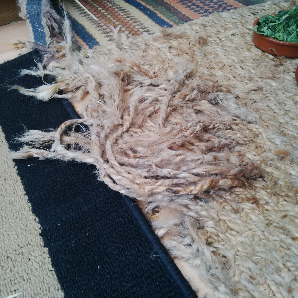 Rug in a demolished state