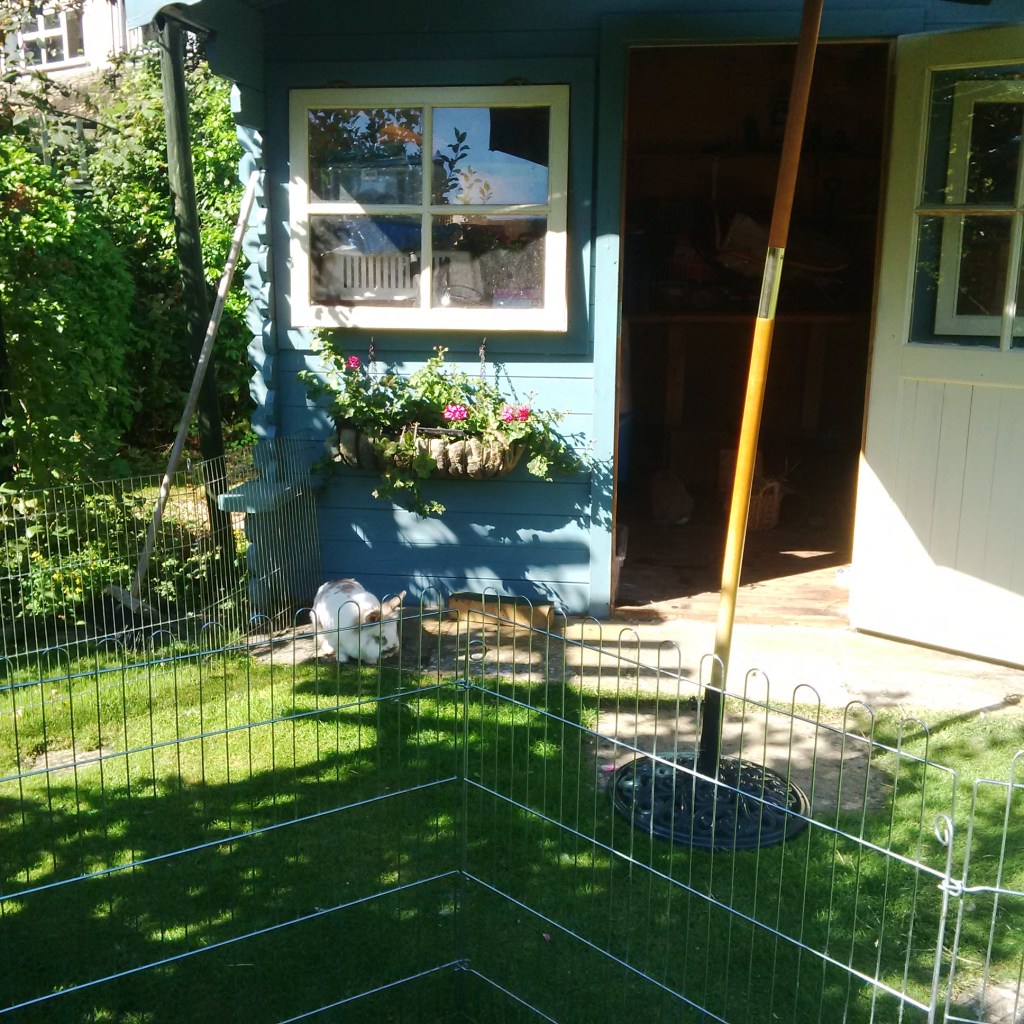 Haas Katrijn Sumerhouse