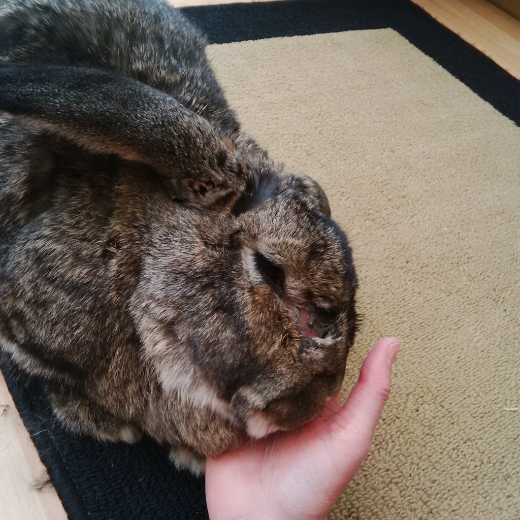 Bouffe’s brekkers binkies
