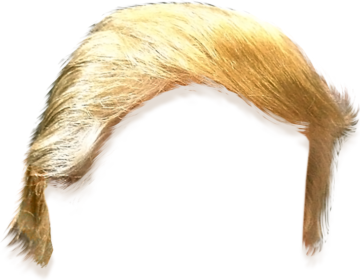 trumphair_7