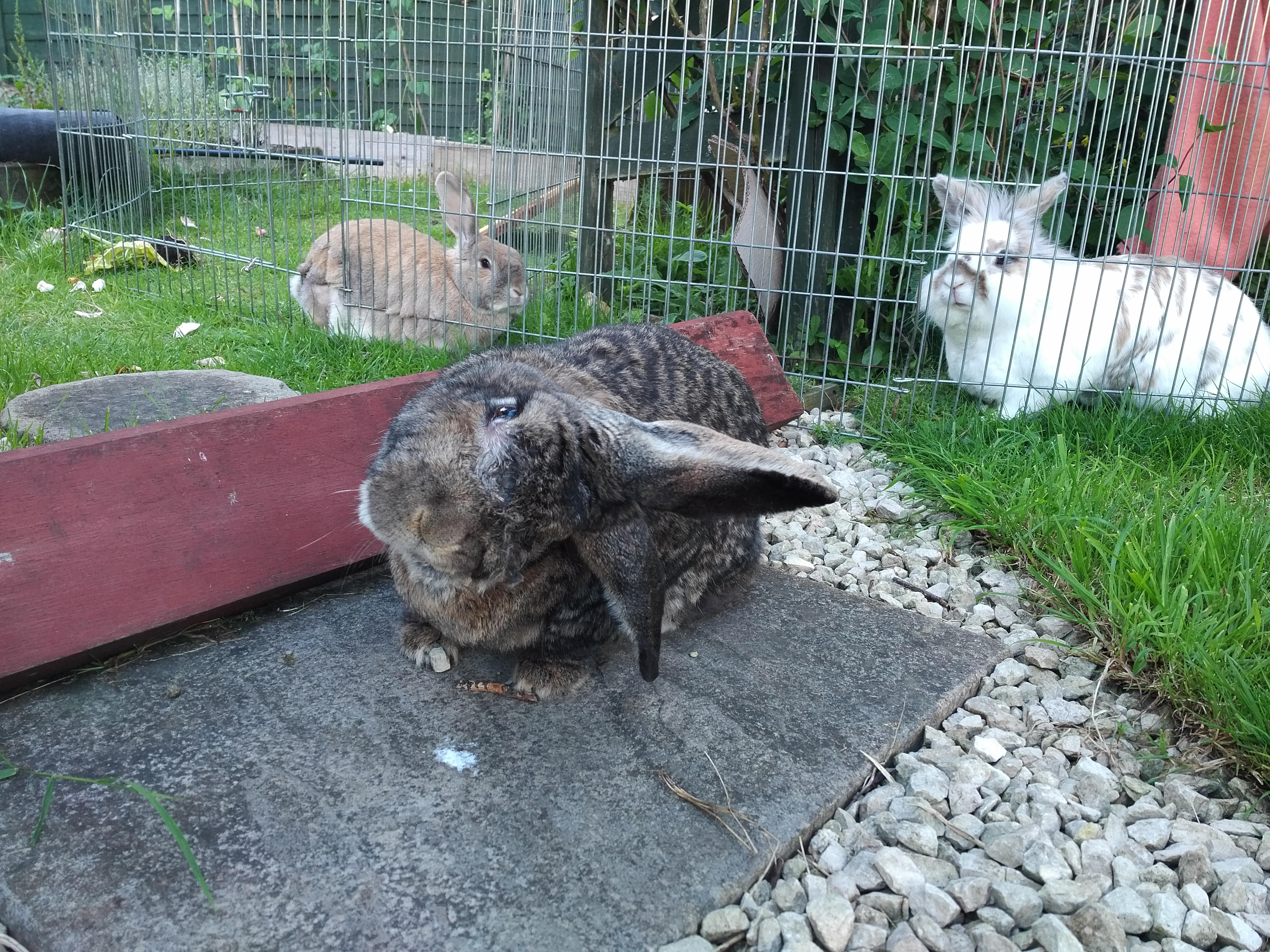 IMG_20170611_1857498