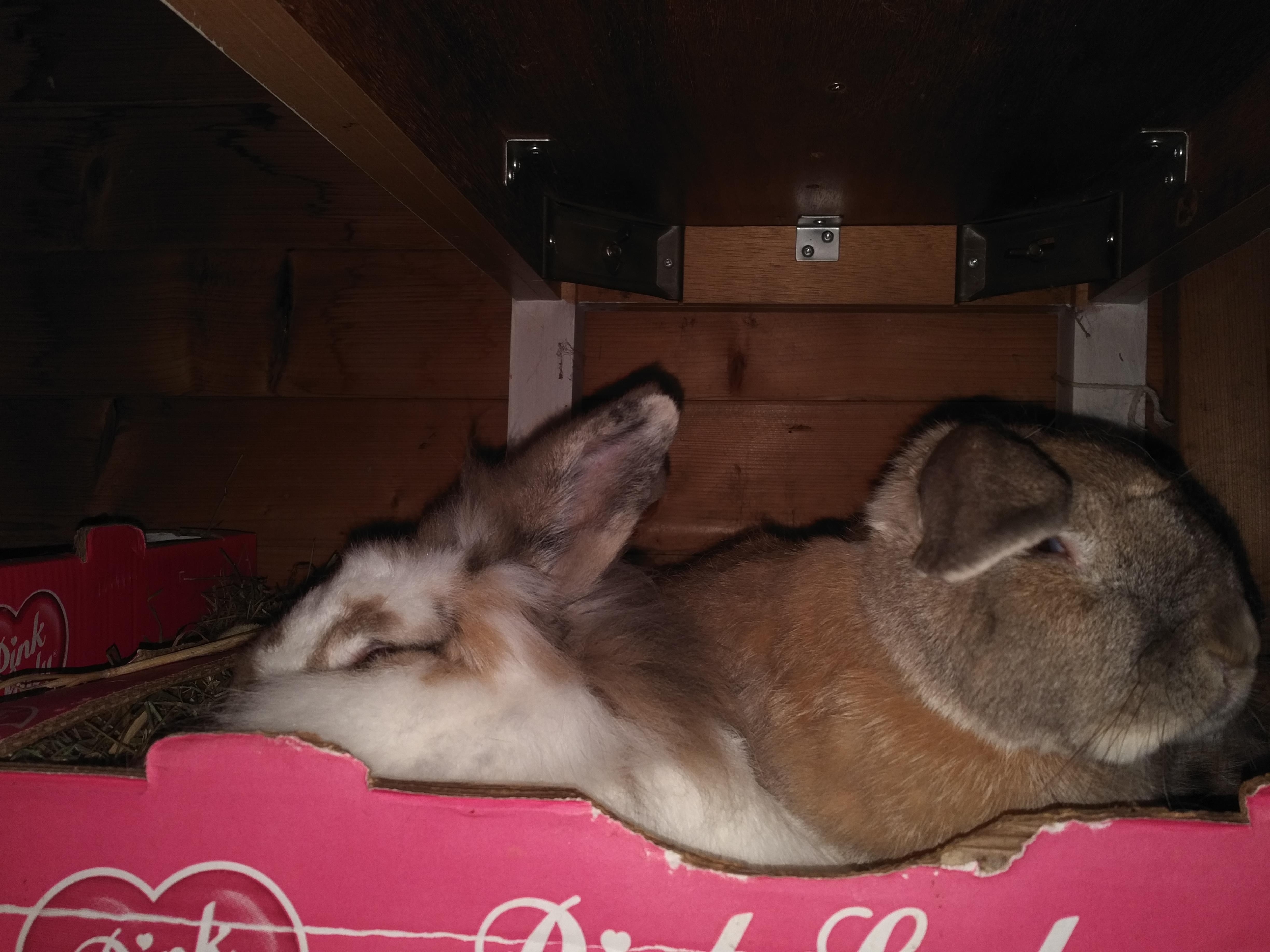 IMG_20180123_2032129