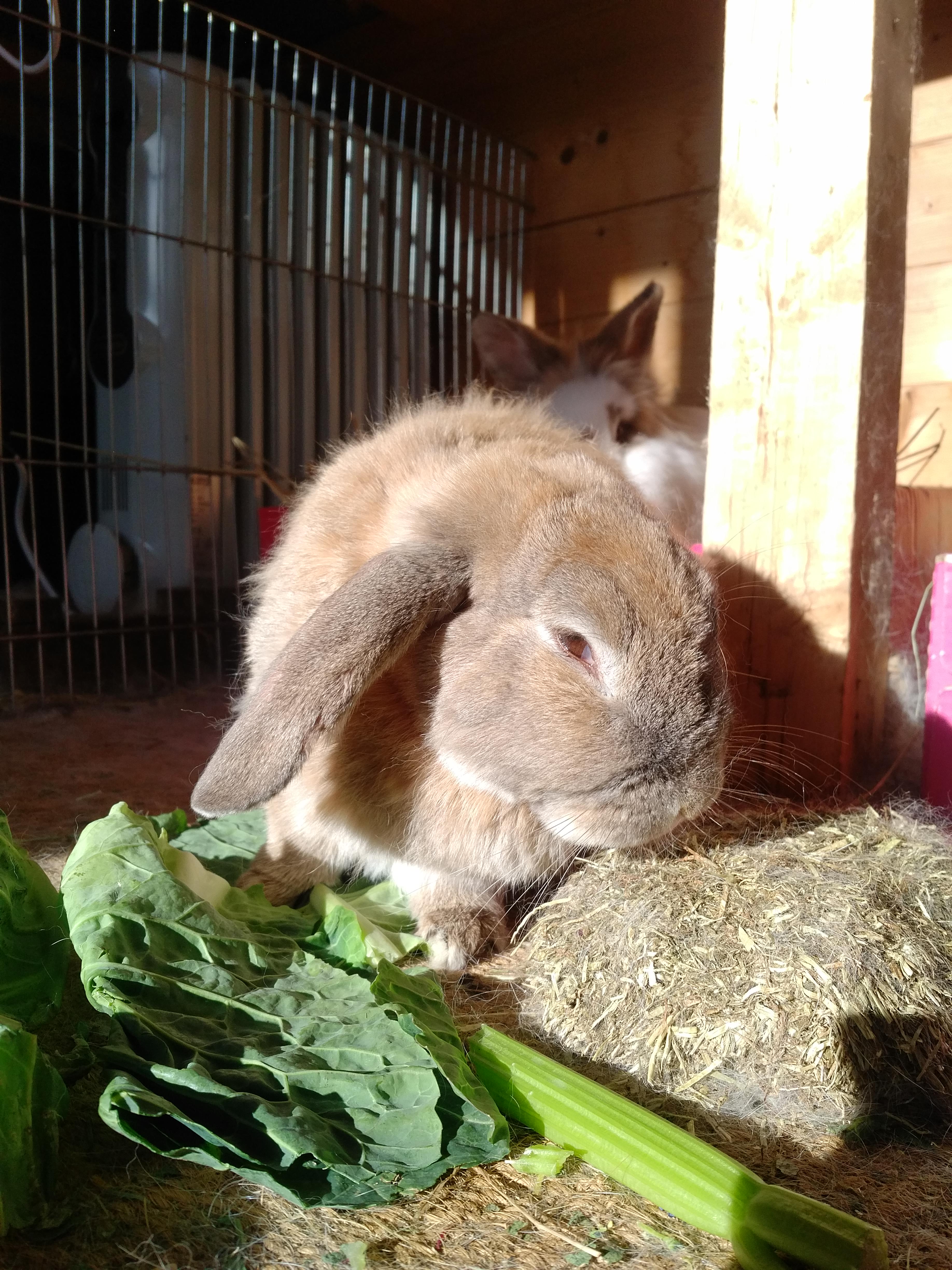 IMG_20180202_1122371