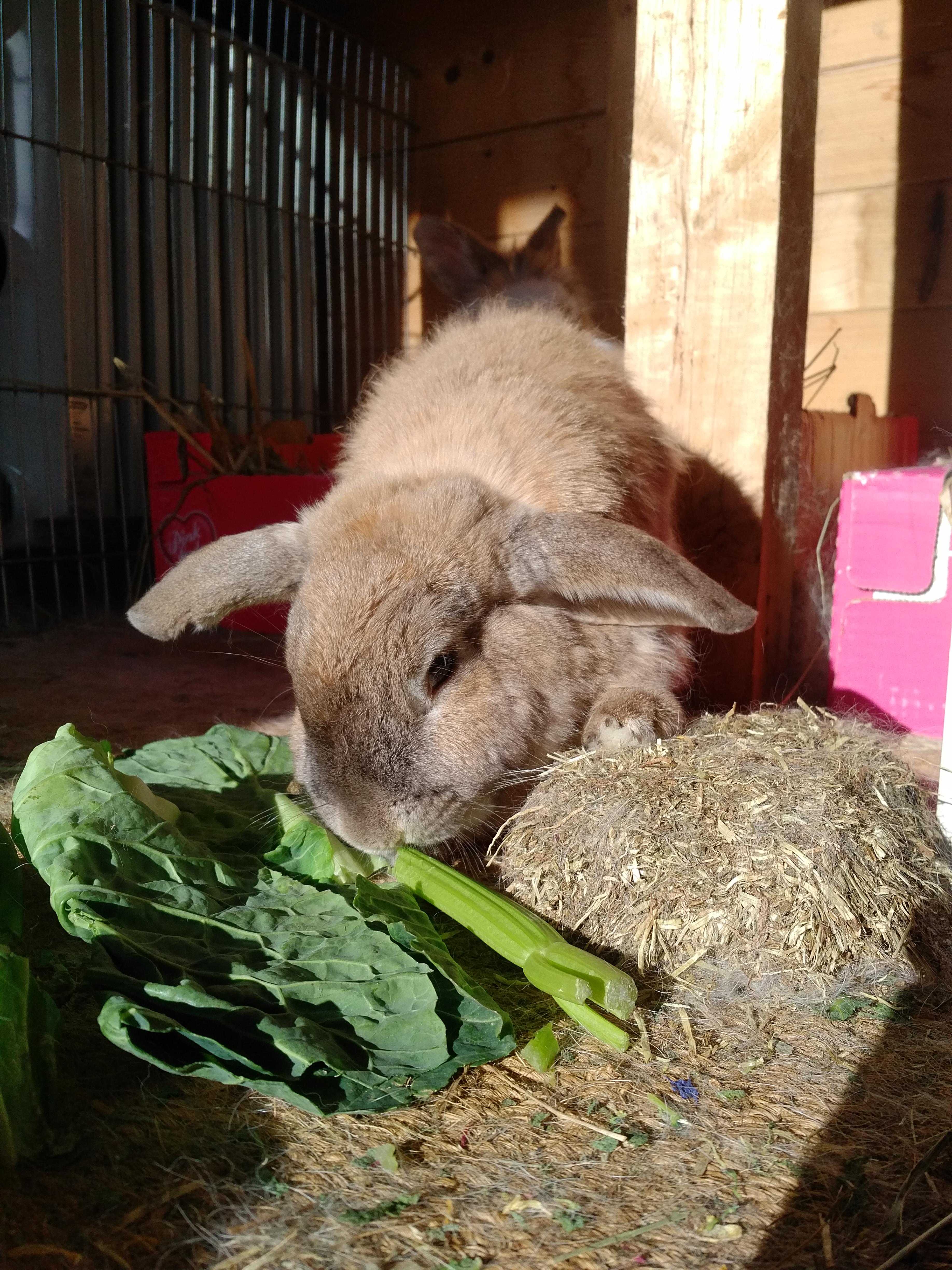 IMG_20180202_1122447