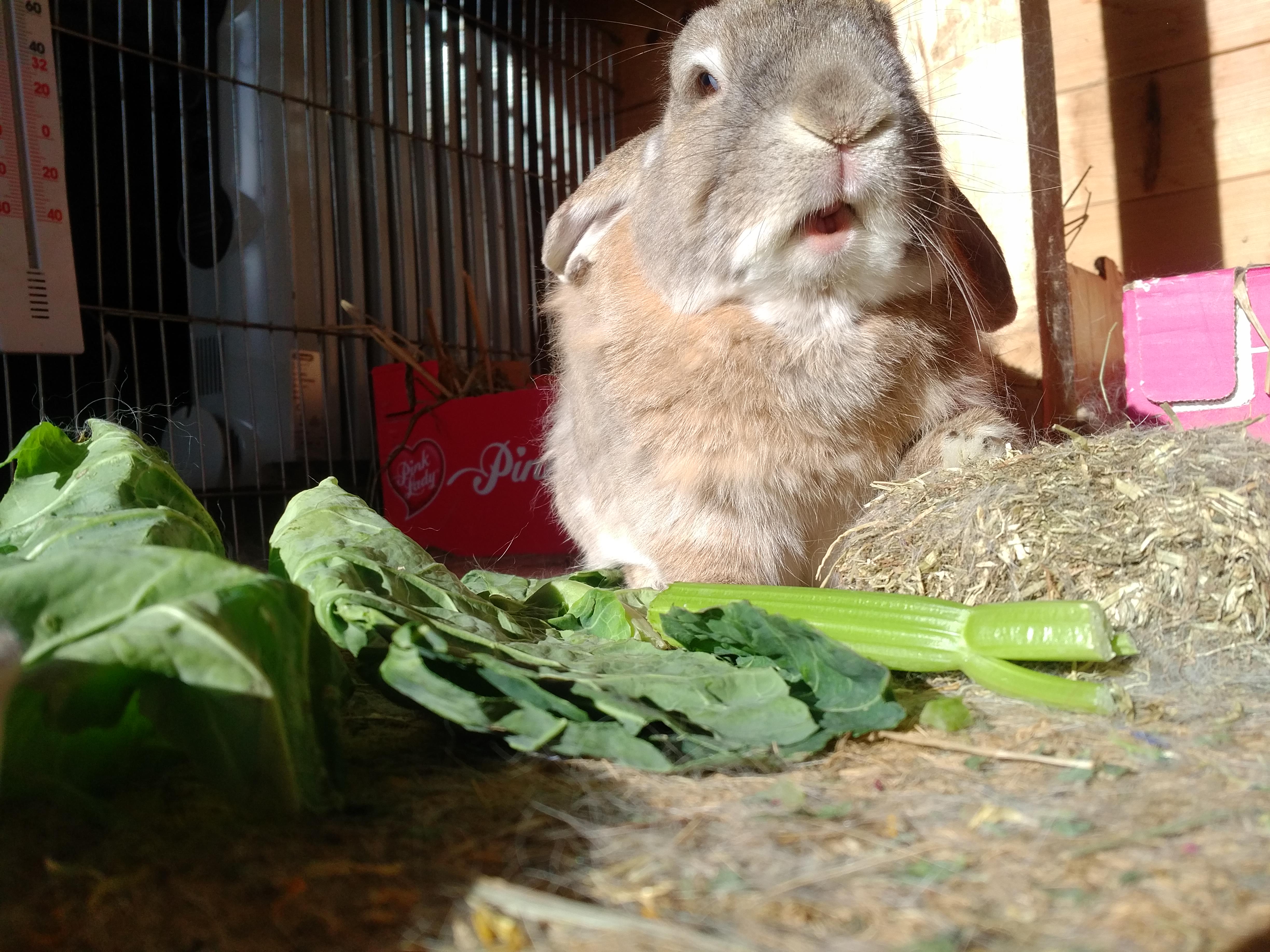 IMG_20180202_1122552