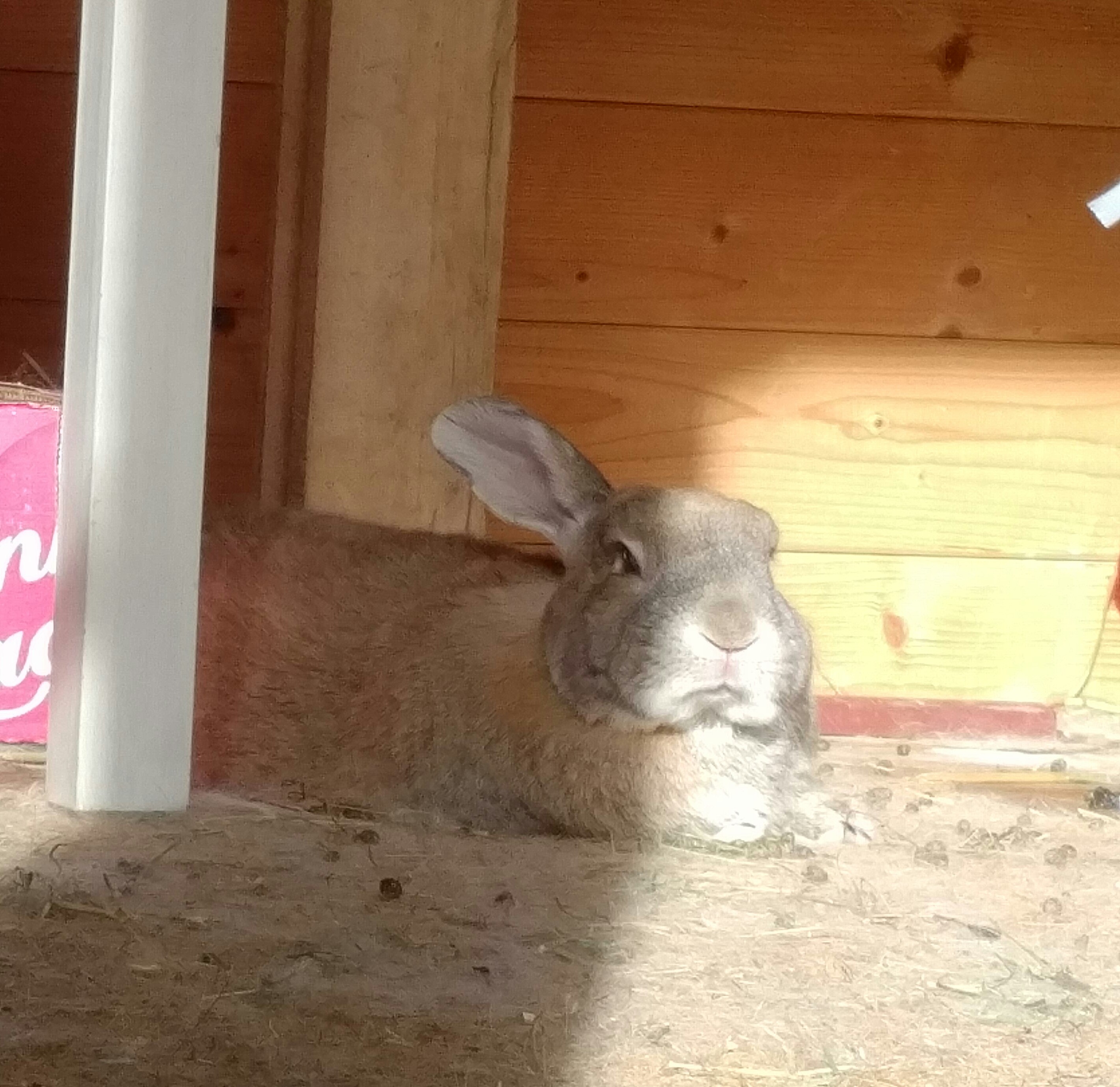 IMG_20180216_1251028