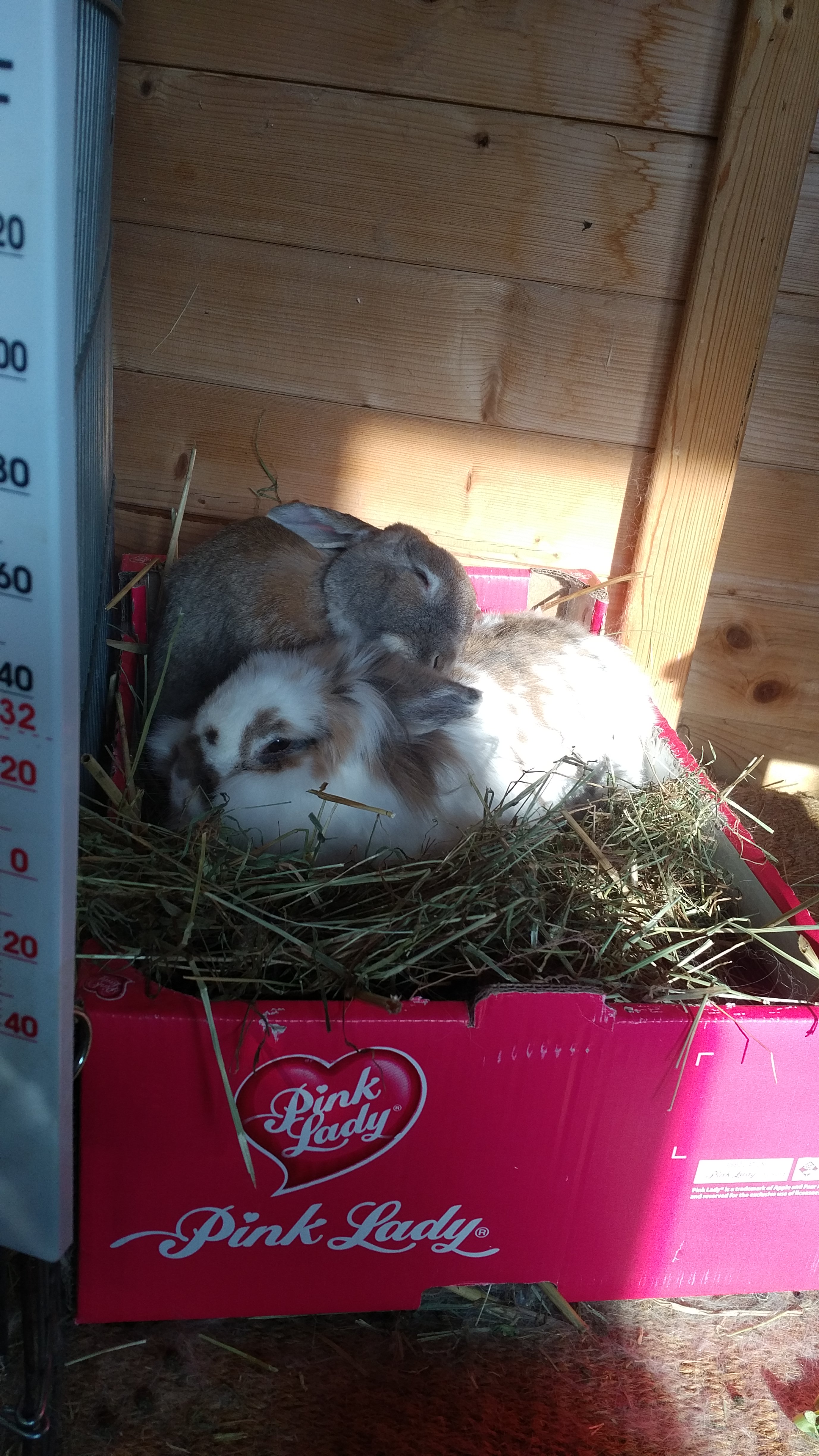 IMG_20180224_0951339