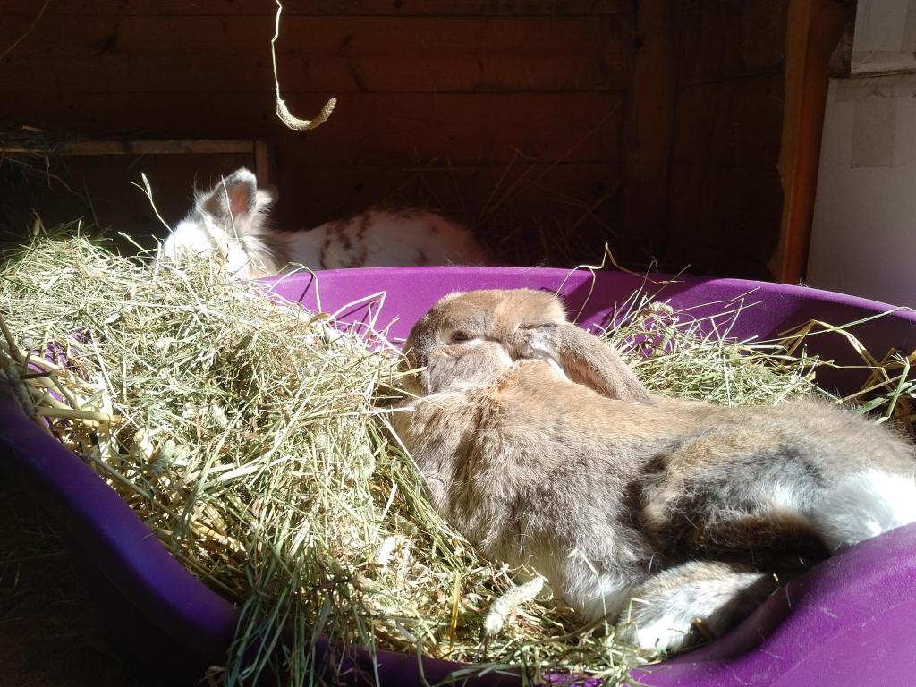 A serene spring&nbsp;scene