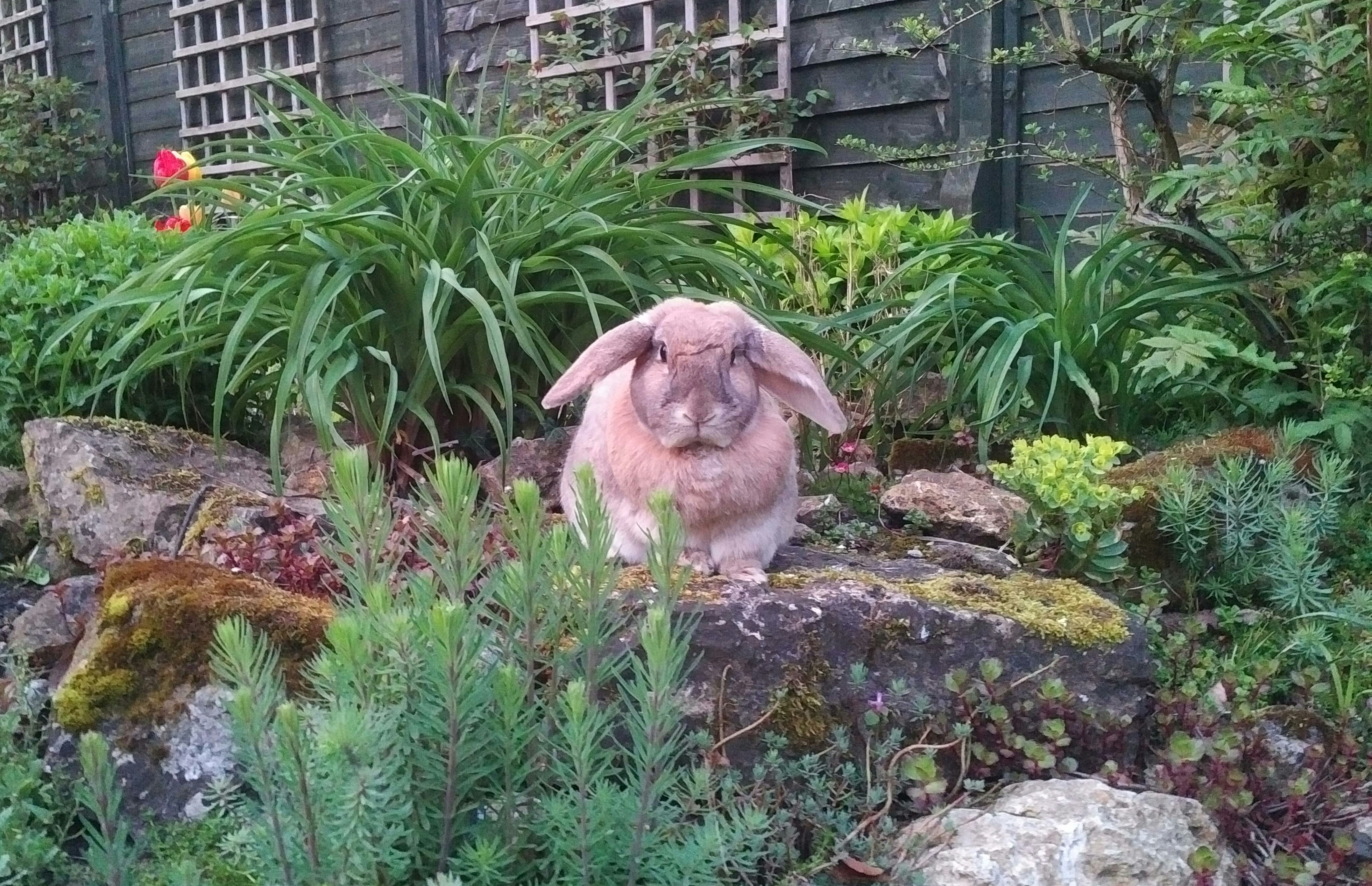 IMG_20180430_2035147