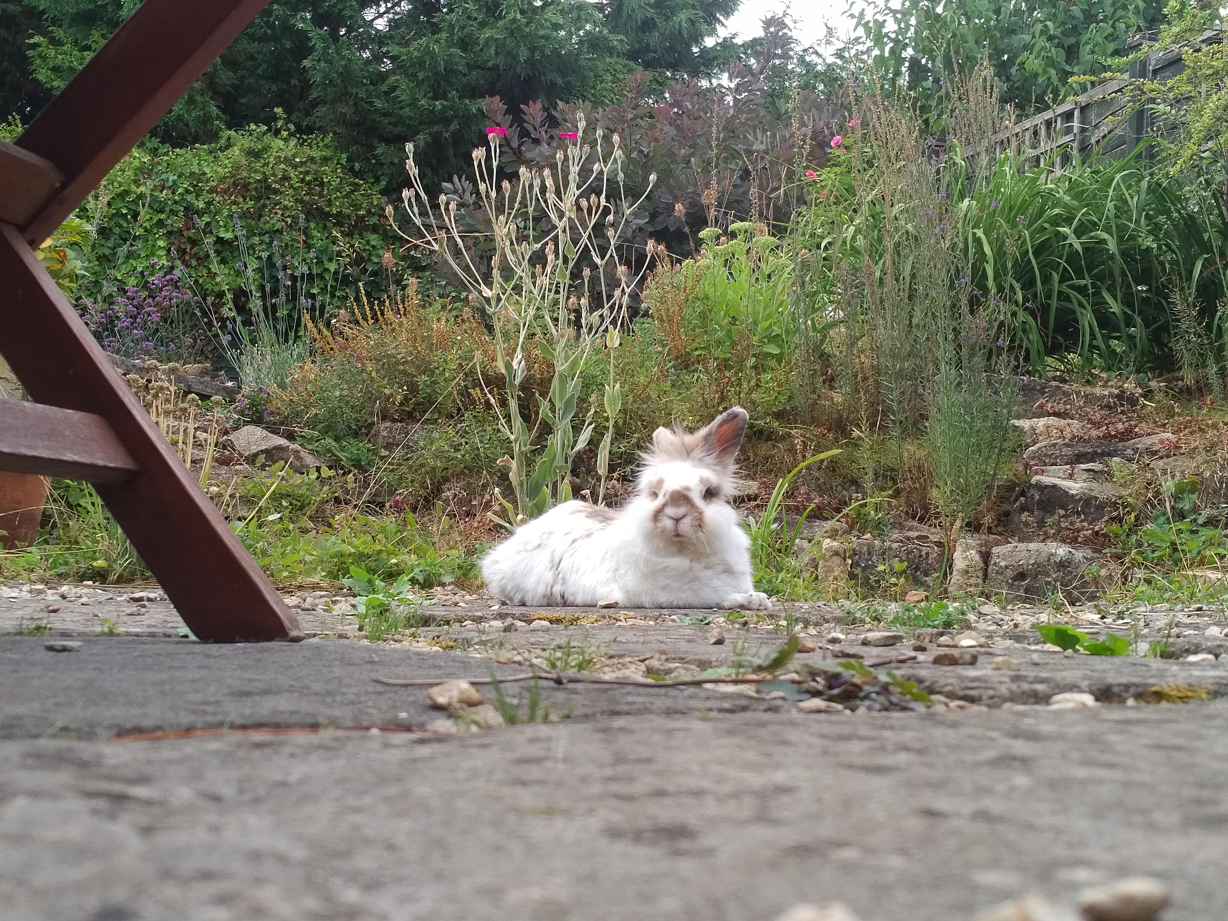 DrKatrijnIsAvailable