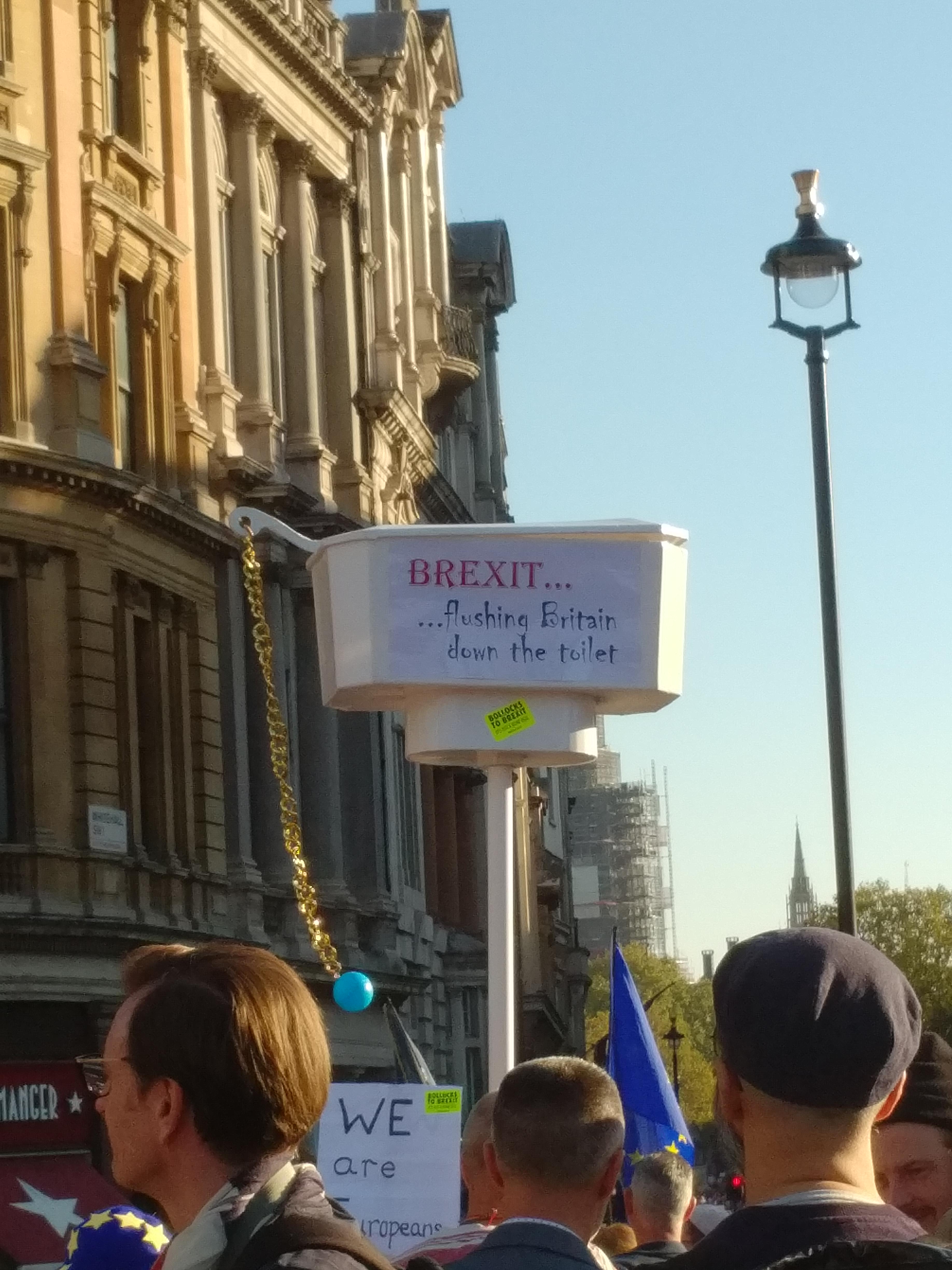 A street scene from the People's Vote March in London, 20th October 2018. A protester carries a toilet cistern aloft, complete with pull chain. The cistern reads 'Brexit... Flushing Britain down the toilet'. It is seen against a blue sky and tall, honey-coloured buildings on the left. A street lantern cuts into the blue of the sky on the right side of the image. The backs of the heads of several people are in the bottom of the photo.