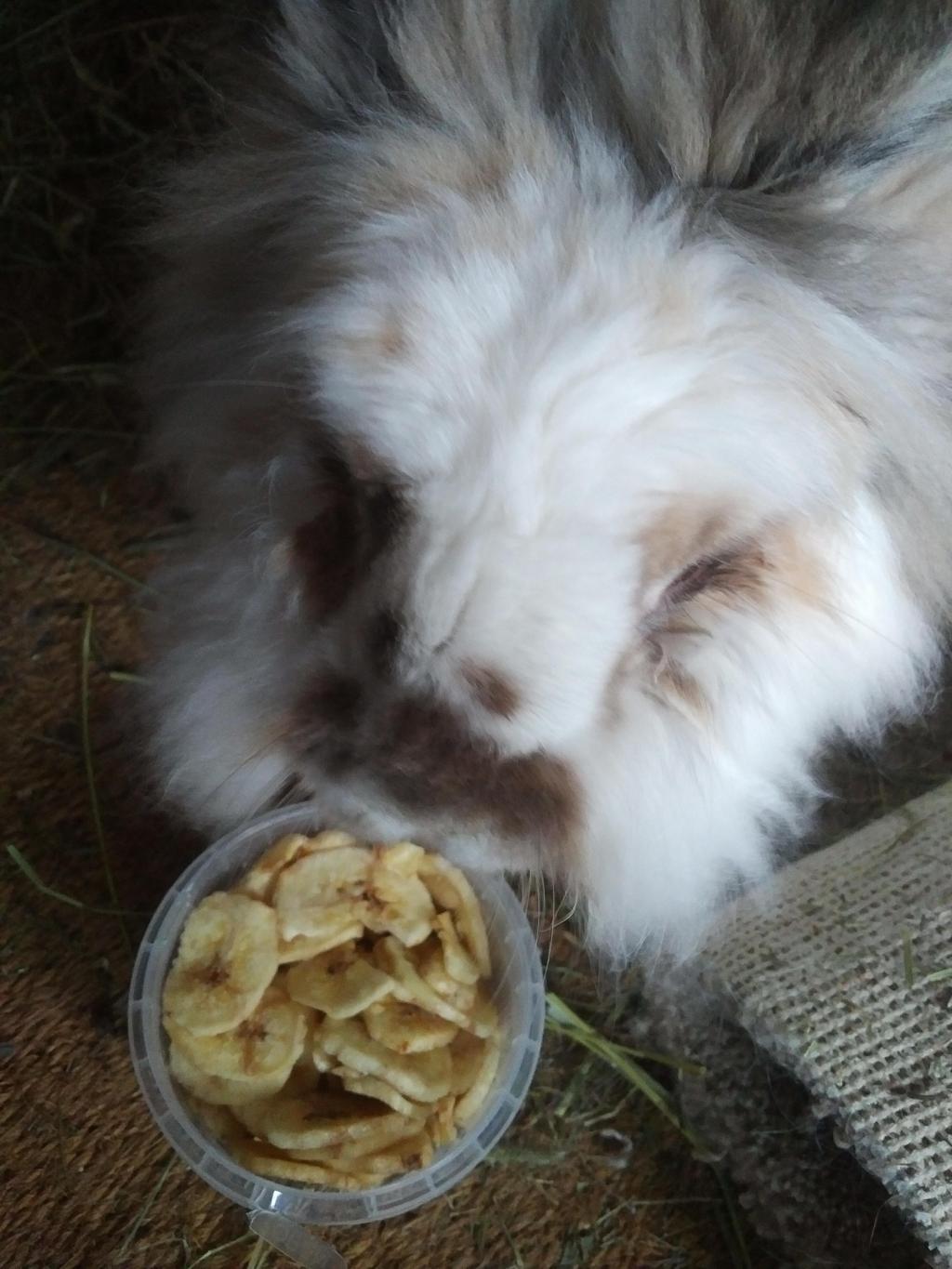 The Have Cake, Eat Cake trope&nbsp;returns