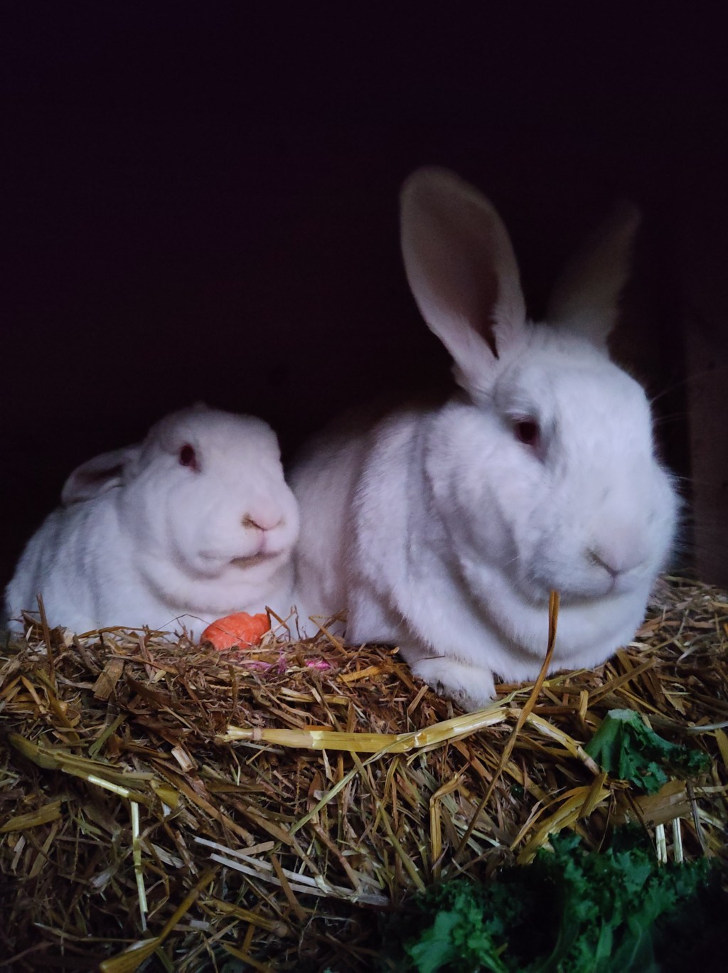 Bloody hell, 2025…