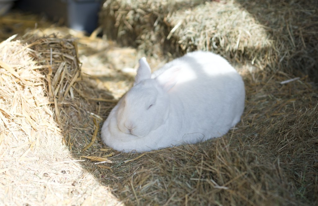 Exasperated, and it’s only&nbsp;March