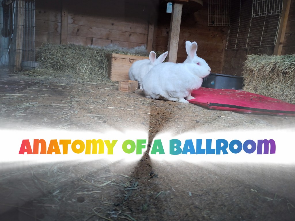 Ballroom on a&nbsp;budget